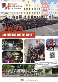icon jahresbericht 2025